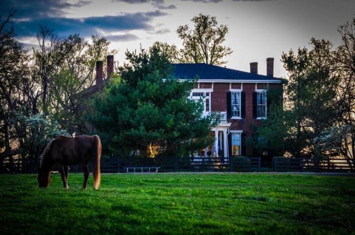 Maple Hill Manor Bed & Breakfast Springfield Екстериор снимка